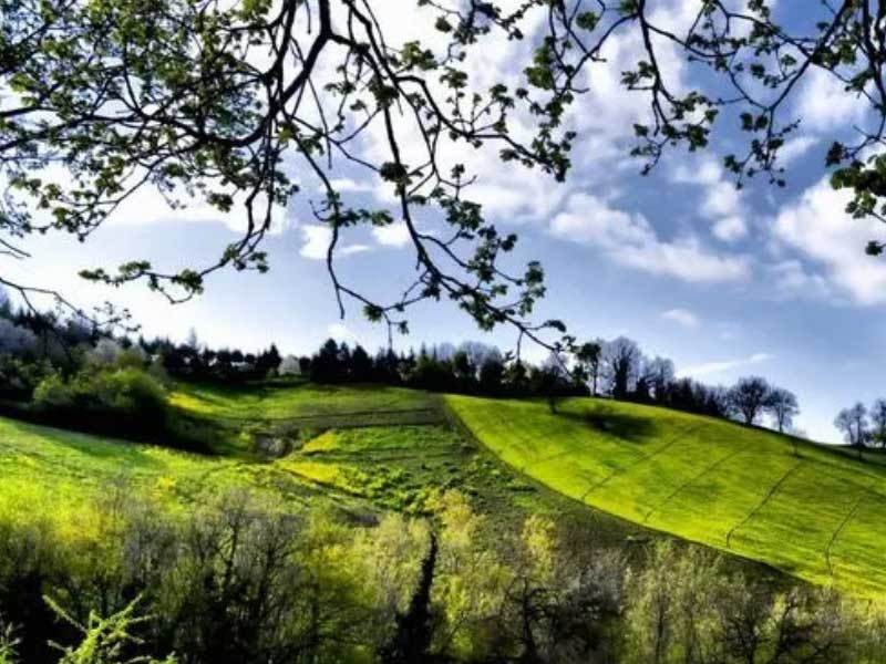 英雄联盟四川总决赛全球(qiú)顶尖战队对决