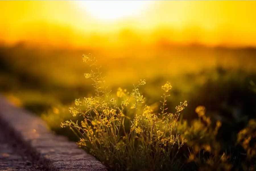 英雄联盟四川总决赛全球顶尖战队对决